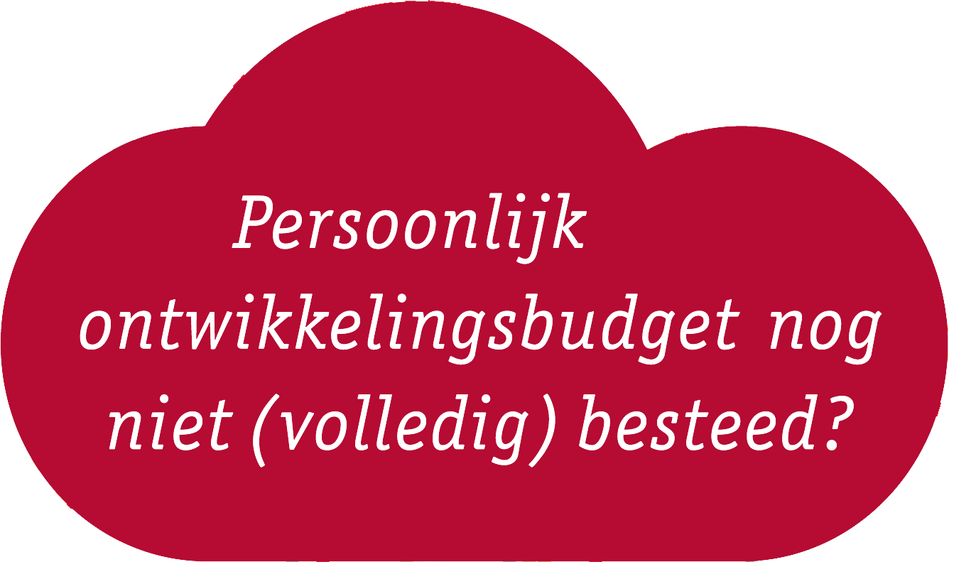 Ontwikkelingsbudget